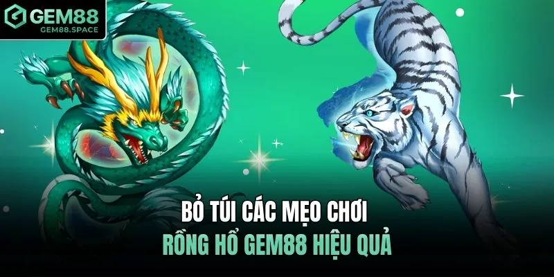 Bỏ túi các mẹo chơi rồng hổ GEM88 hiệu quả
