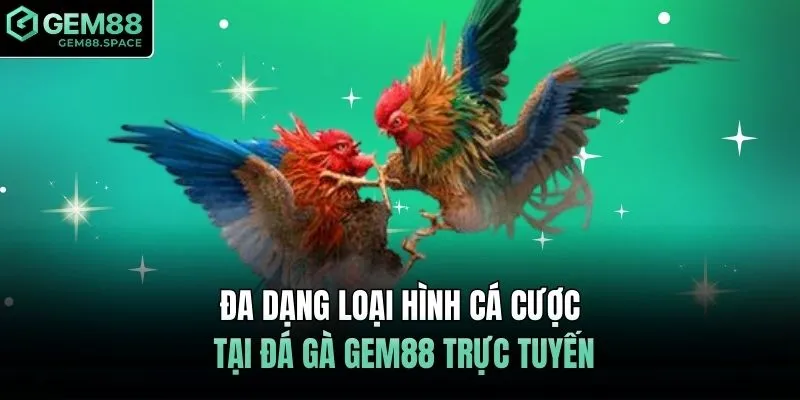 Đa dạng loại hình cá cược tại đá gà GEM88 trực tuyến