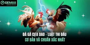 Đá gà cựa dao