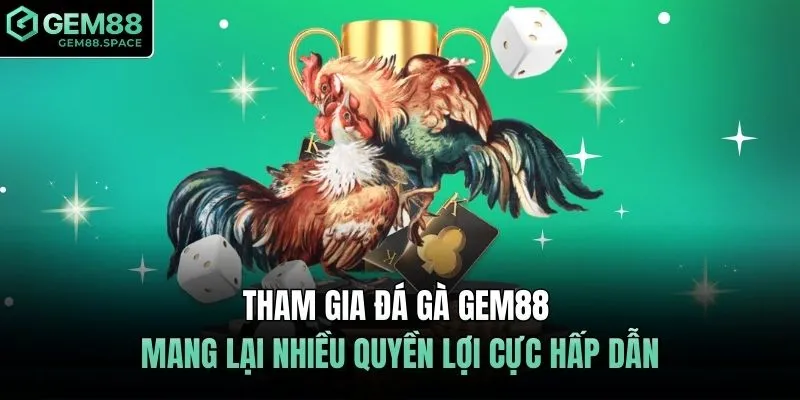Tham gia đá gà GEM88 mang lại nhiều quyền lợi cực hấp dẫn