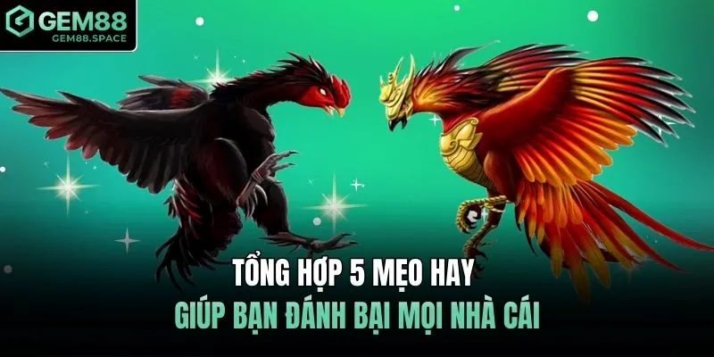 Tổng hợp 5 mẹo hay giúp bạn đánh bại mọi nhà cái